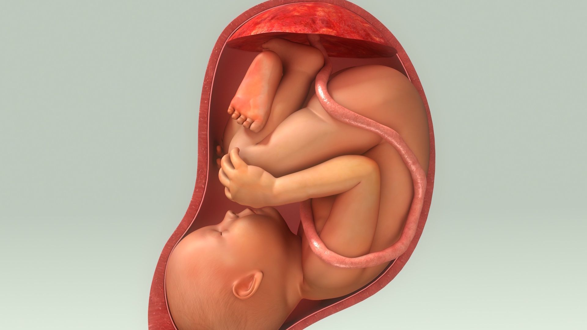13 неделе беременности плацента. Наружный акушерский поворот плода. Наружный профилактический поворот плода на головку. Наружный акушерский поворот плода при тазовом предлежании.